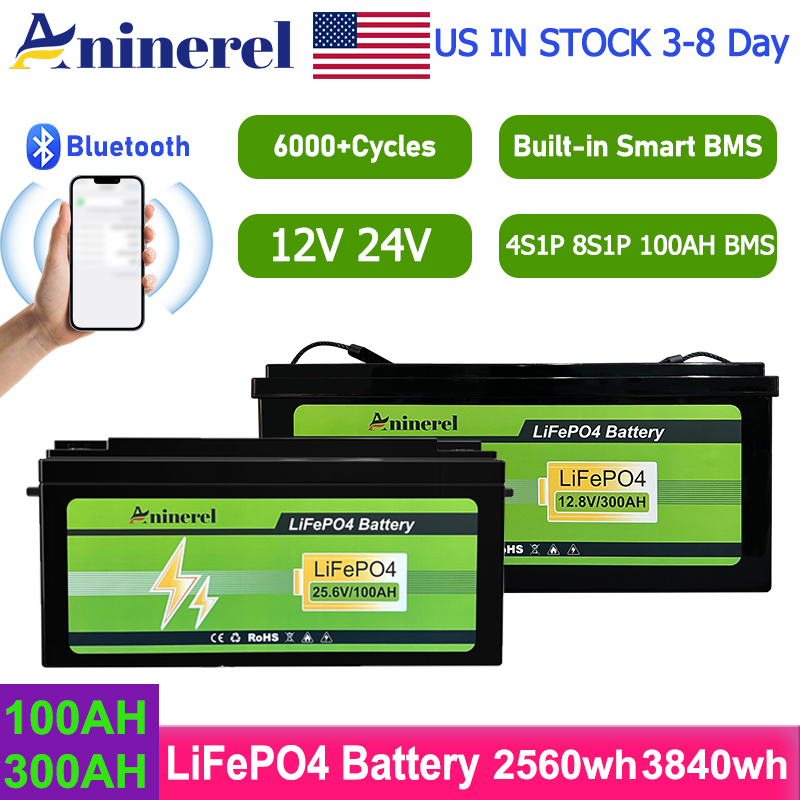 Lithium Battery 100Ah - Aninerel 2560Wh 3840Wh 12V 300AH 24V