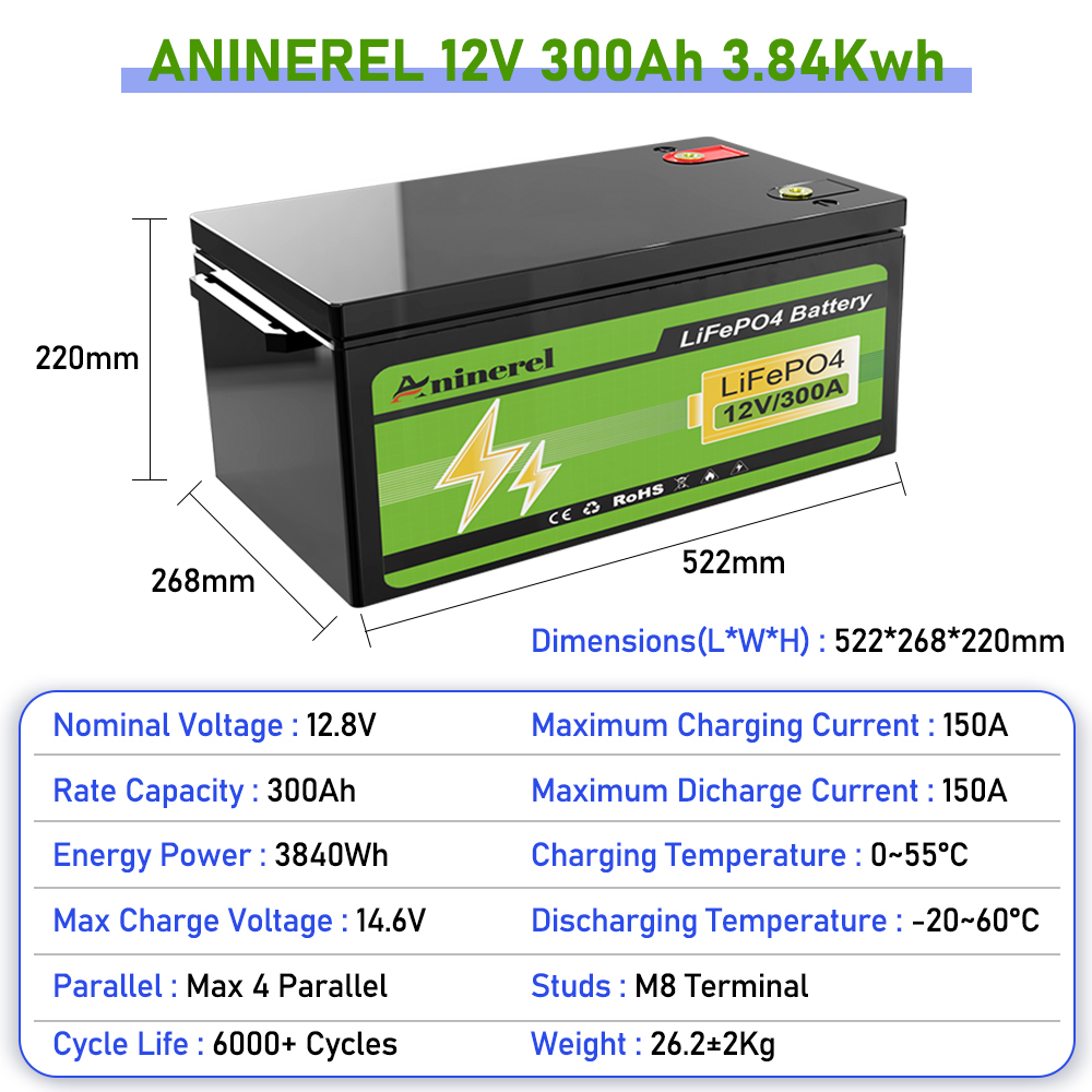 Aninerel 2560Wh 3840Wh 12V 300 - Lithium Battery 100Ah recensie en prijs